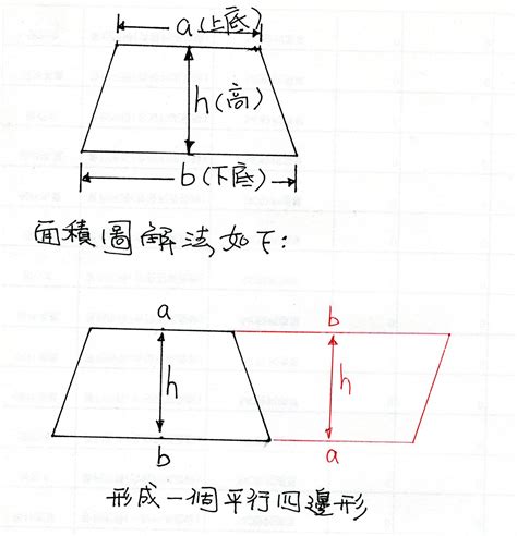 不規則梯形面積|P5 梯形面積